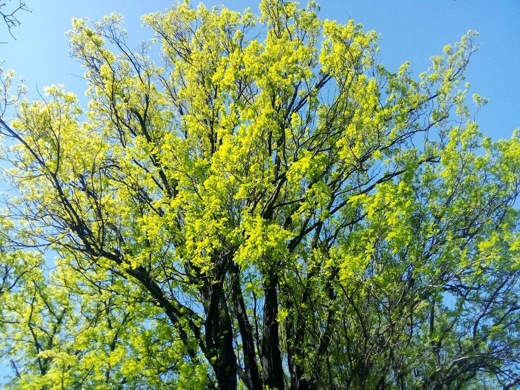 photo_2025-04-22 9.56.01 пп