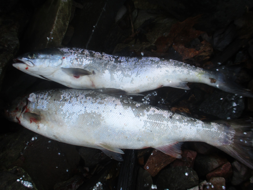 may 3rd 2019 bay 005