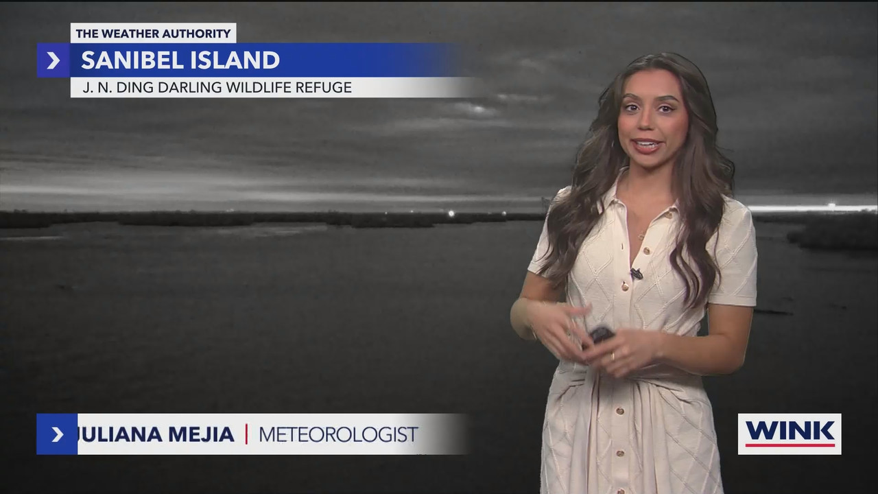 WINK NEWS at 600am Saturday_20241130_11001200.ts_snapshot_00.14.51.365