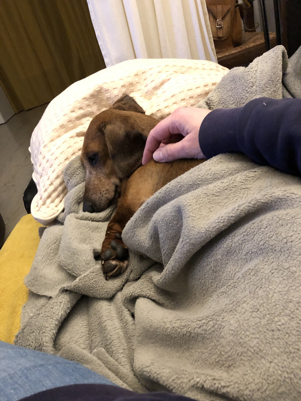 [Image: IMG-2888.jpg]