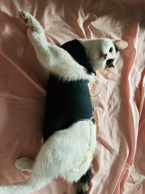 A7DE5D23-ED56-49E9-951E-09E71E5124B9