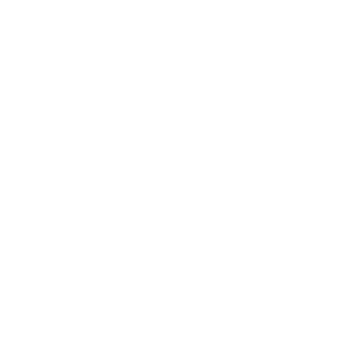 icon S