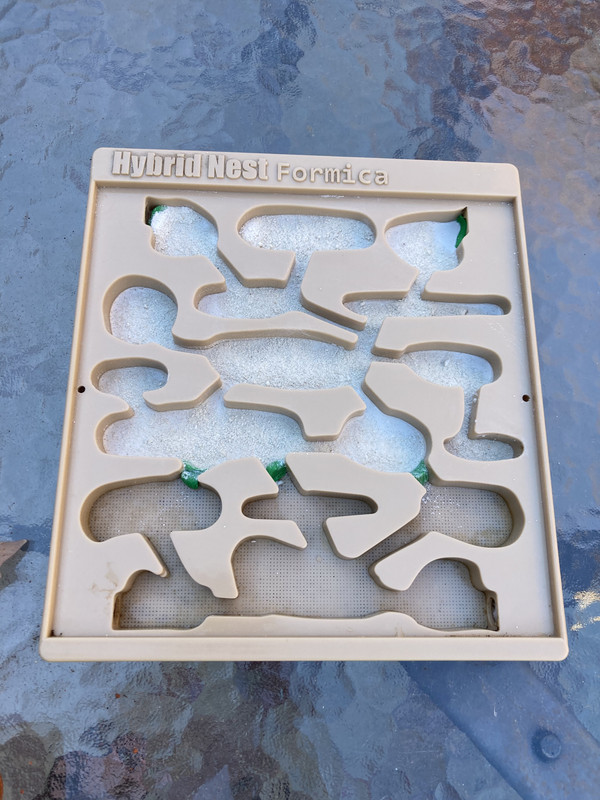 AF9C5134-B0B3-40DA-910D-72AD9D050E79