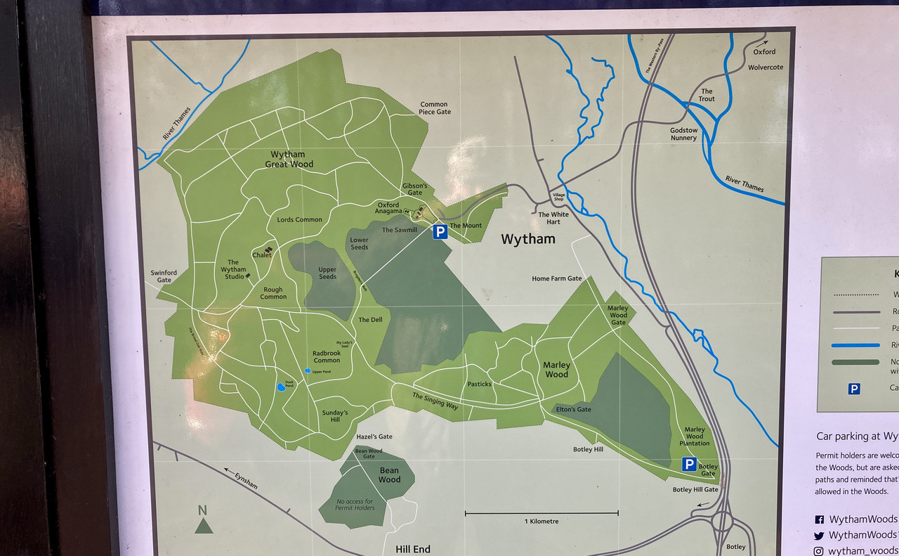 DE5AB0E8-DEF9-426E-A005-52AA4230B202