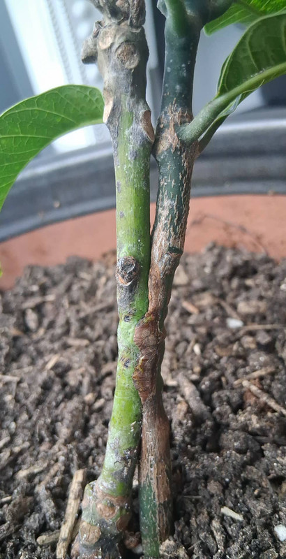 99da12b4 82b8 4602 8a51 9864b5e85c80