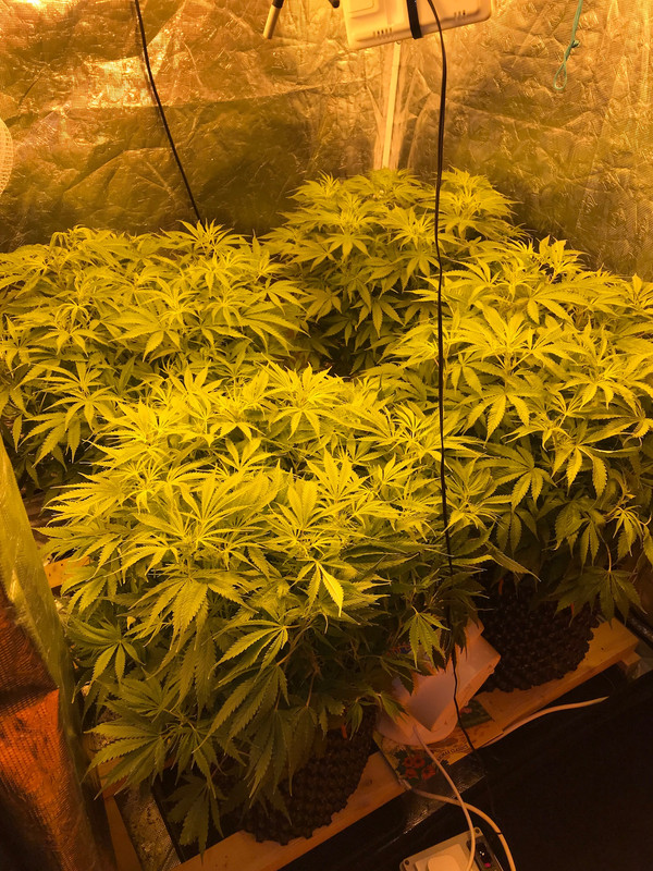 93A4DD80-9F10-4ADA-B4AB-35624422A8B7