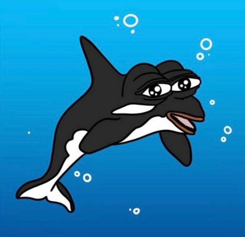 Fish The Killer Whale