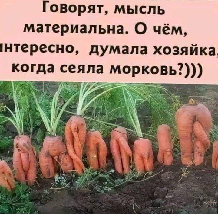 [Изображение: photo-2026-04-08-05-16-48.jpg]