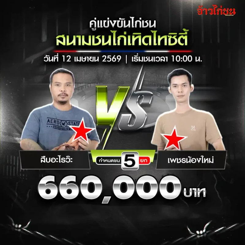 สืบอะไรว๊ะ พบ เพชรน้องใหม่ โปรแกรมไก่ชน สนามชนไก่เทิดไทซิตี้