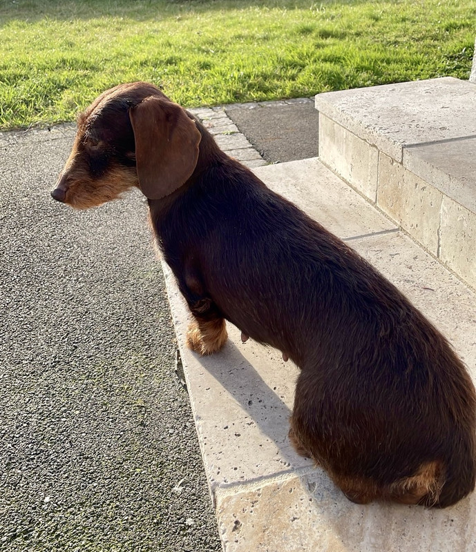 [Image: IMG-4901.jpg]