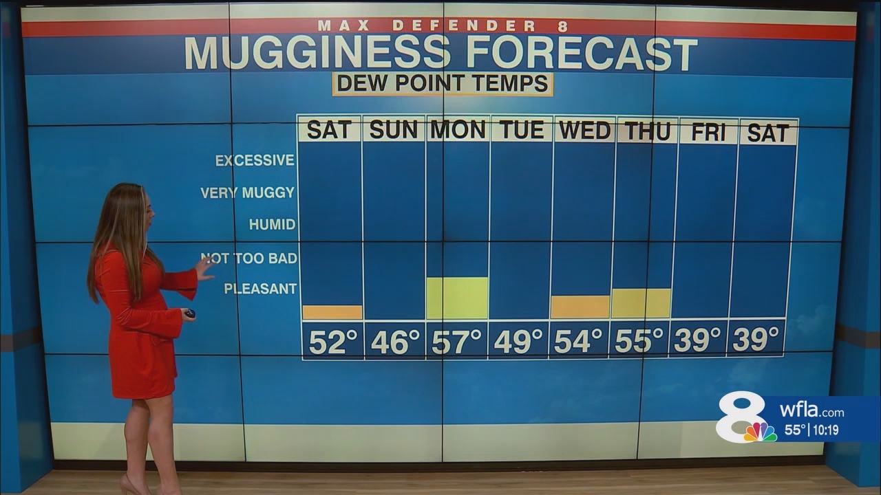 NewsChannel 8 News at 1000pm_20250222_03000330.ts_snapshot_20.38.536
