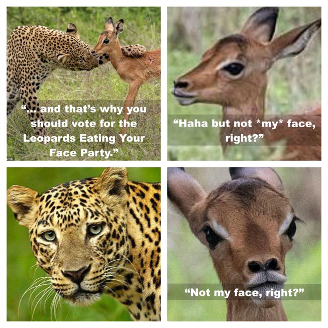 face-eating-leopard-campaign-small