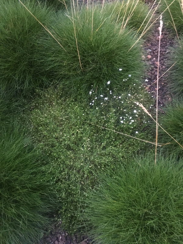 C0882BD8-890C-4D51-B607-6207AA50B5BA