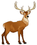 reindeer-clip-art-cliparts