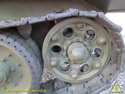IMG-3388