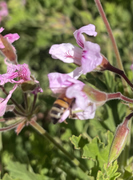 0823BE9E-1306-4ED9-890A-34F6D9634D77-1-201-a