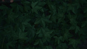 Alan-Wake2-2026-06-06-16-10-11-864