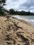 3F71630D-121F-4610-938A-6613ED60CB0B