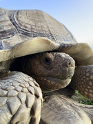 220121_Primus_Demo-Malibu_PG_i041066