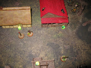 IMG-9384