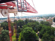 Obrázek