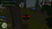 IMG-6418