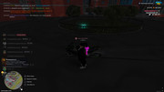IMG-6412