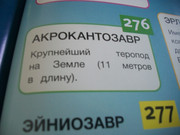 https://i.postimg.cc/NK9kfLLs/100-8110.jpg