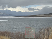 [Image: IMG-0986.jpg]