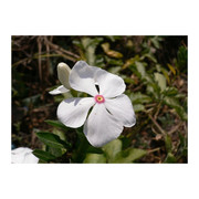 photo 3 2026 01 16 22 16 38