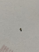 B7221893-A1A8-4679-B88E-C73359B40EDB