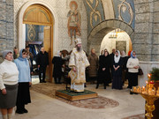 In Shot 20260212 185255506