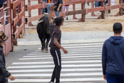 IMG-0231