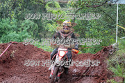 IMG-6351