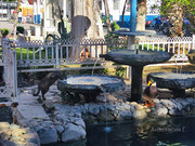 От Антальи на восток (до Мардина и Диярбакыра) + Анкара, ноябрь 2025.