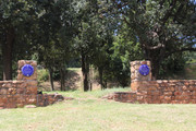 IMG-1427