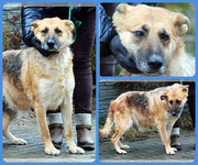 Be-Funky-collage-24.jpg&key=9bc99683a410