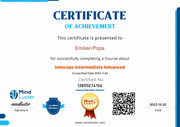 Inkscape Intermediate Advanced Certificate