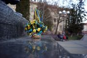15-DSC00047