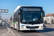 IMG-5275