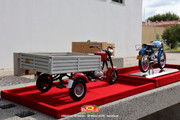 IMG-2684