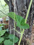 img-1780848221055