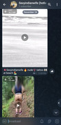 Screenshot-20241224-121351-Plus