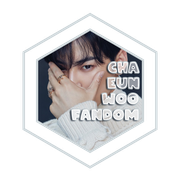 badge06chaeunwoofandom