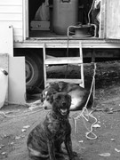 ADP System Pancharevo 2009 (4)