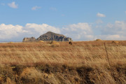 IMG-0248