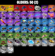 gliders-comp