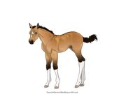 85548D28-3A39-41A8-81D8-50A4983B7434