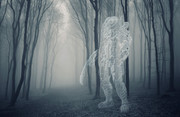 invisible-predator-misty-forest.jpg