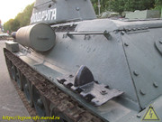 IMG-5597
